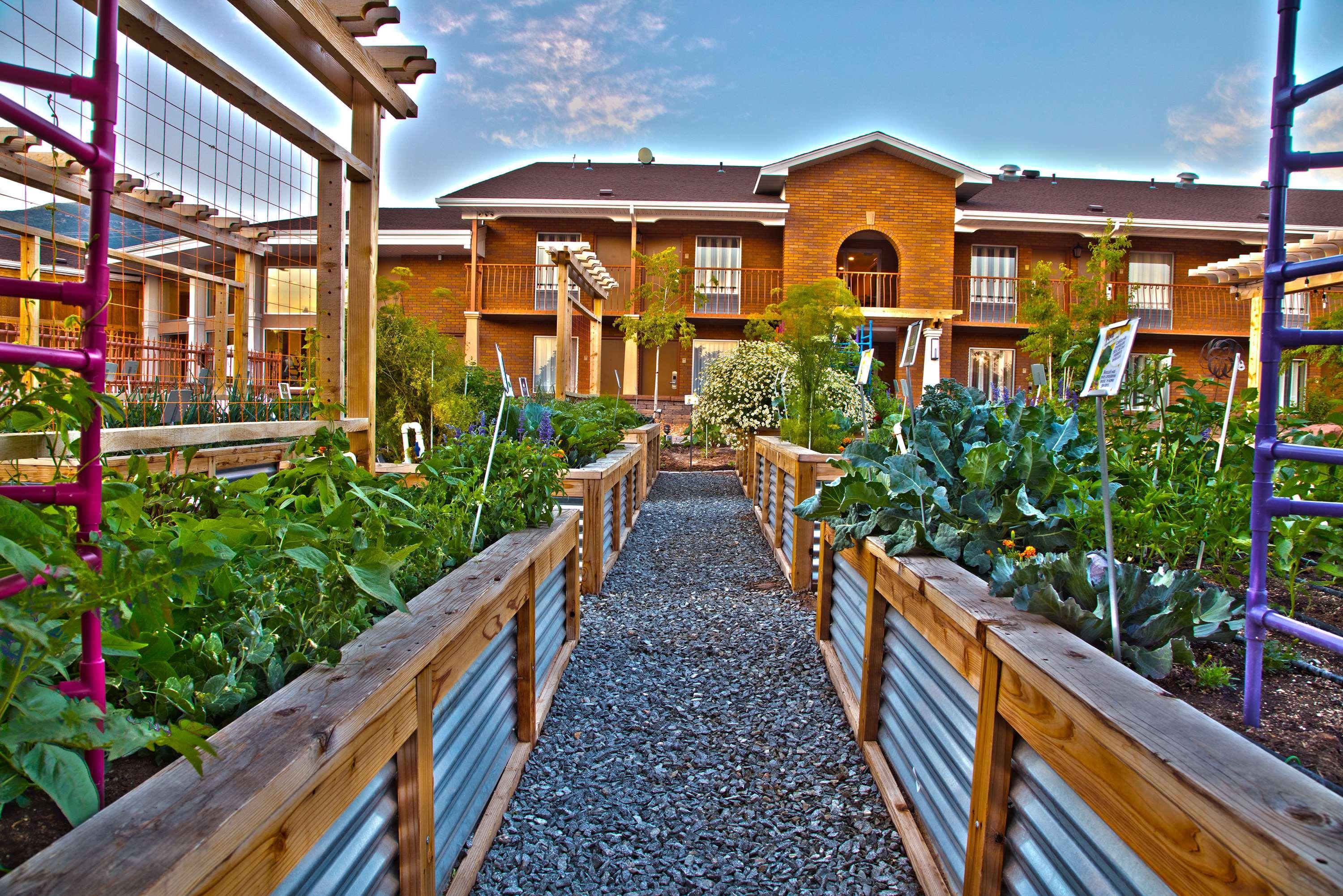 Best Western Plus Cedar City Extérieur photo
